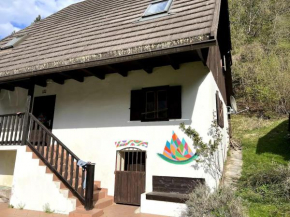 Huge Cottage in the Heart of the Triglav National Park